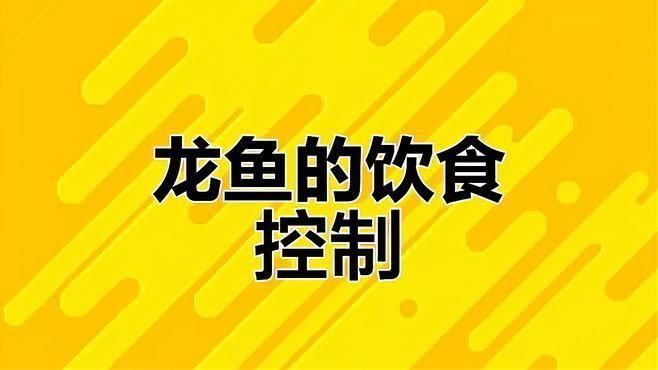 龍魚喂什么食物長得快？
