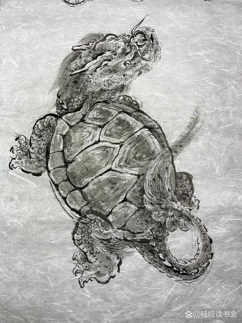 有哪些龍龜圖片適合做壁紙？