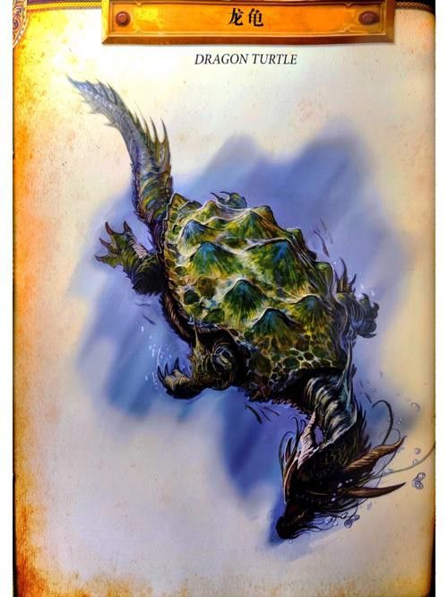 有哪些龍龜圖片適合做壁紙？