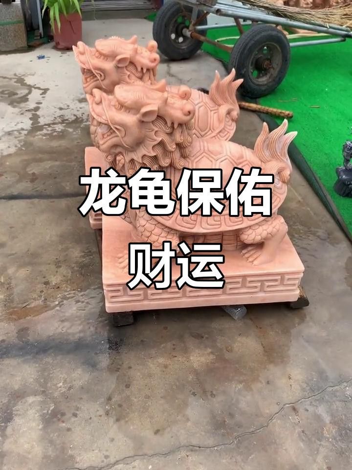 有哪些龍龜圖片適合做壁紙？