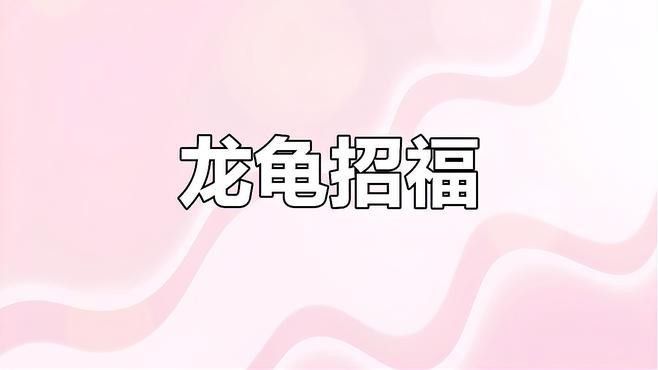 有哪些龍龜圖片適合做壁紙？