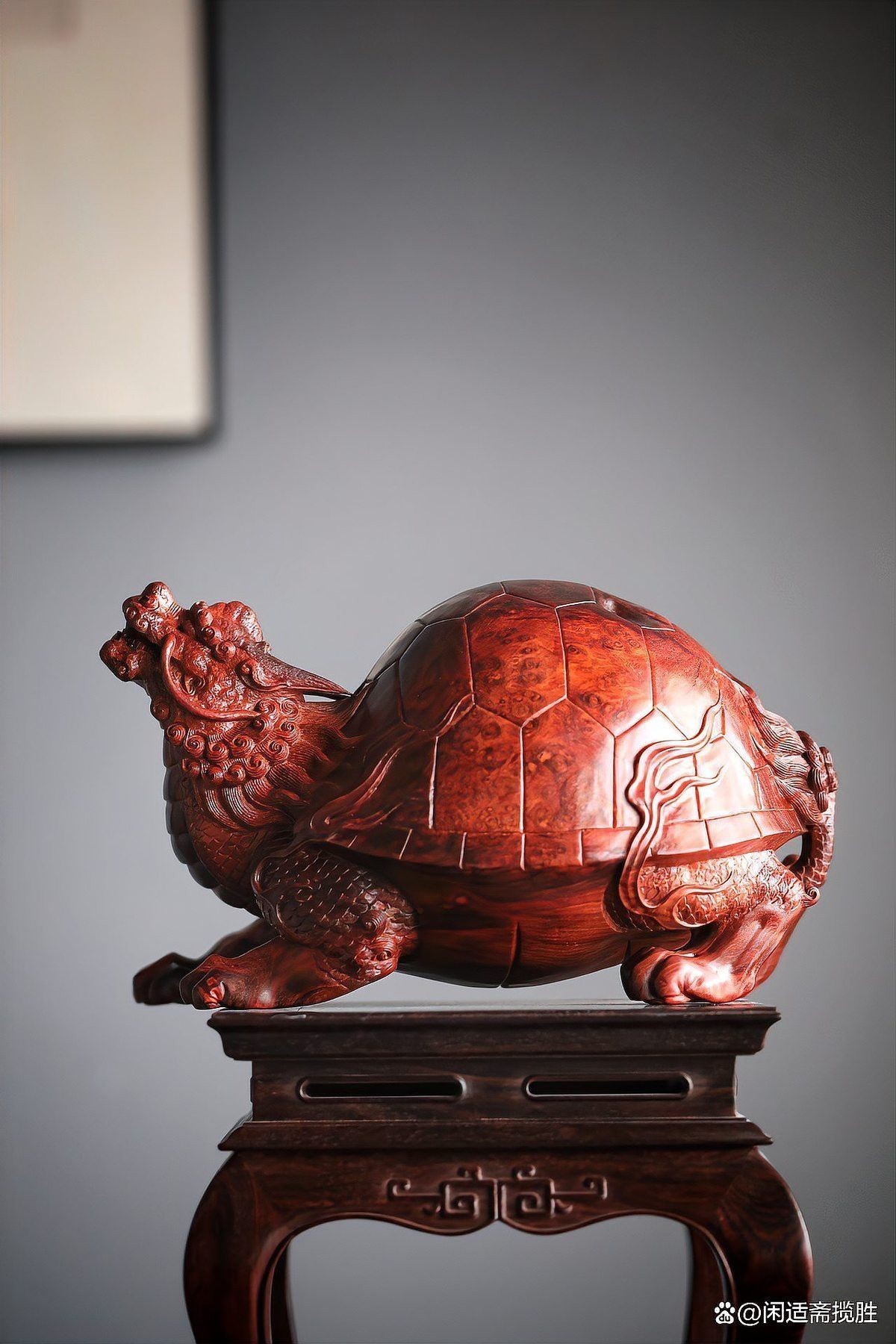 有哪些龍龜圖片適合做壁紙？