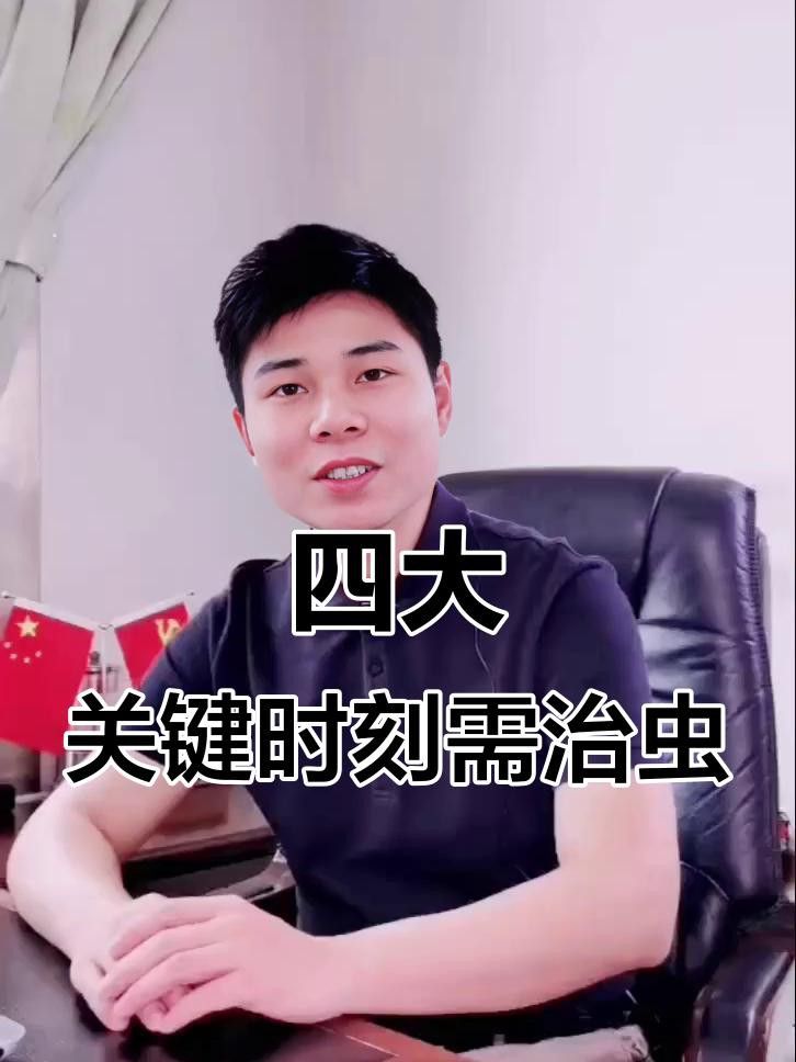 龍魚除蟲的最佳時(shí)機(jī)是什么時(shí)候？