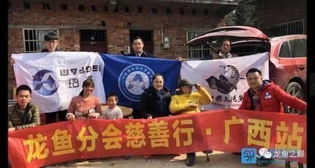 龍魚混養是不是不會掉眼（龍魚混養可以避免掉眼嗎）
