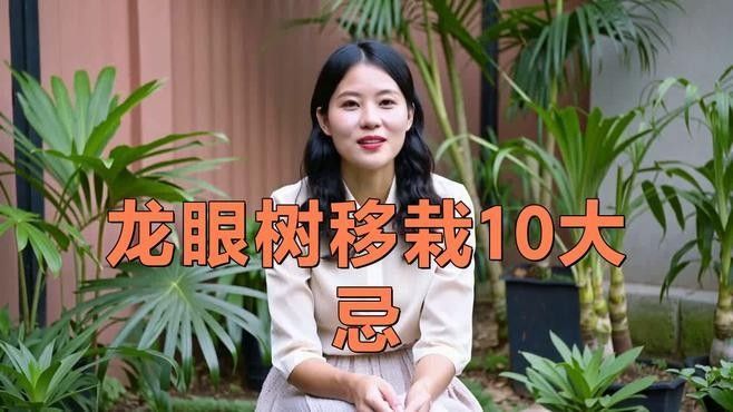 龍眼紅眼樹種植有哪些禁忌？