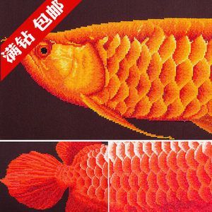 龍魚磚石眼問題：\"龍魚磚石眼問題\"