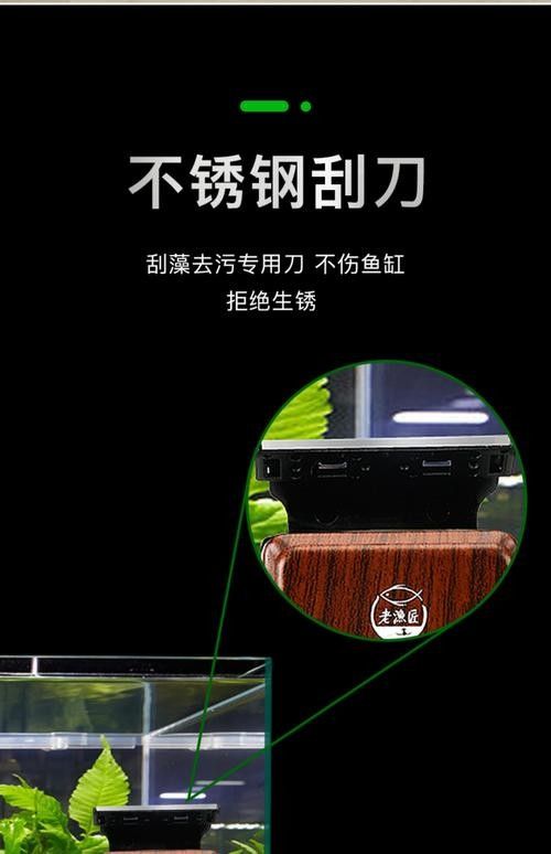 龍魚換魚缸背景