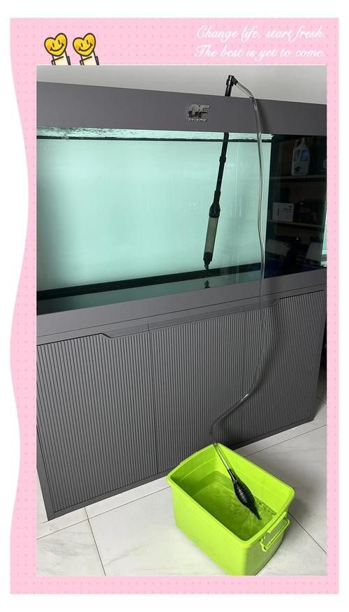 龍魚換魚缸背景