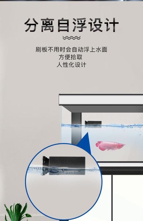 龍魚換魚缸背景