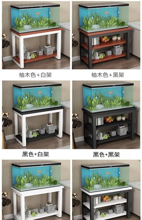 龍魚換魚缸背景