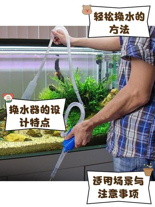 龍魚換魚缸背景