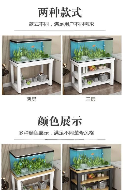 龍魚換魚缸背景