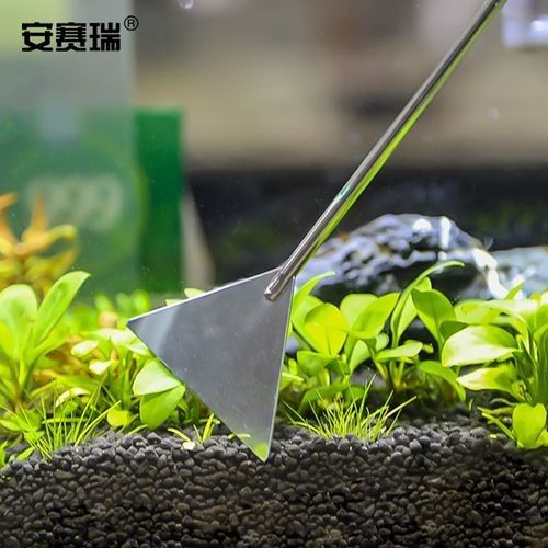 龍魚換魚缸背景