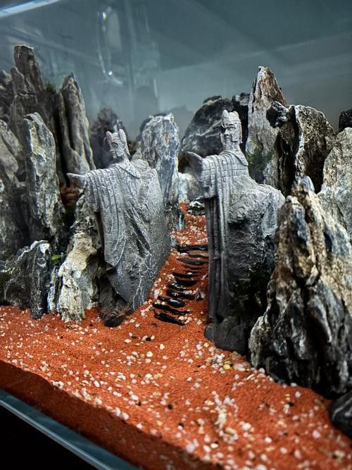 龍魚換魚缸背景