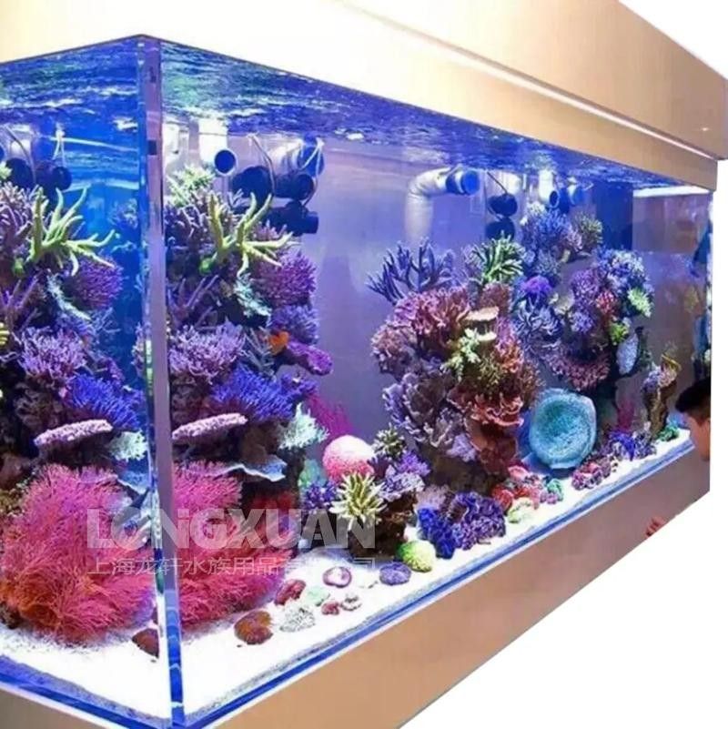 龍魚換魚缸背景