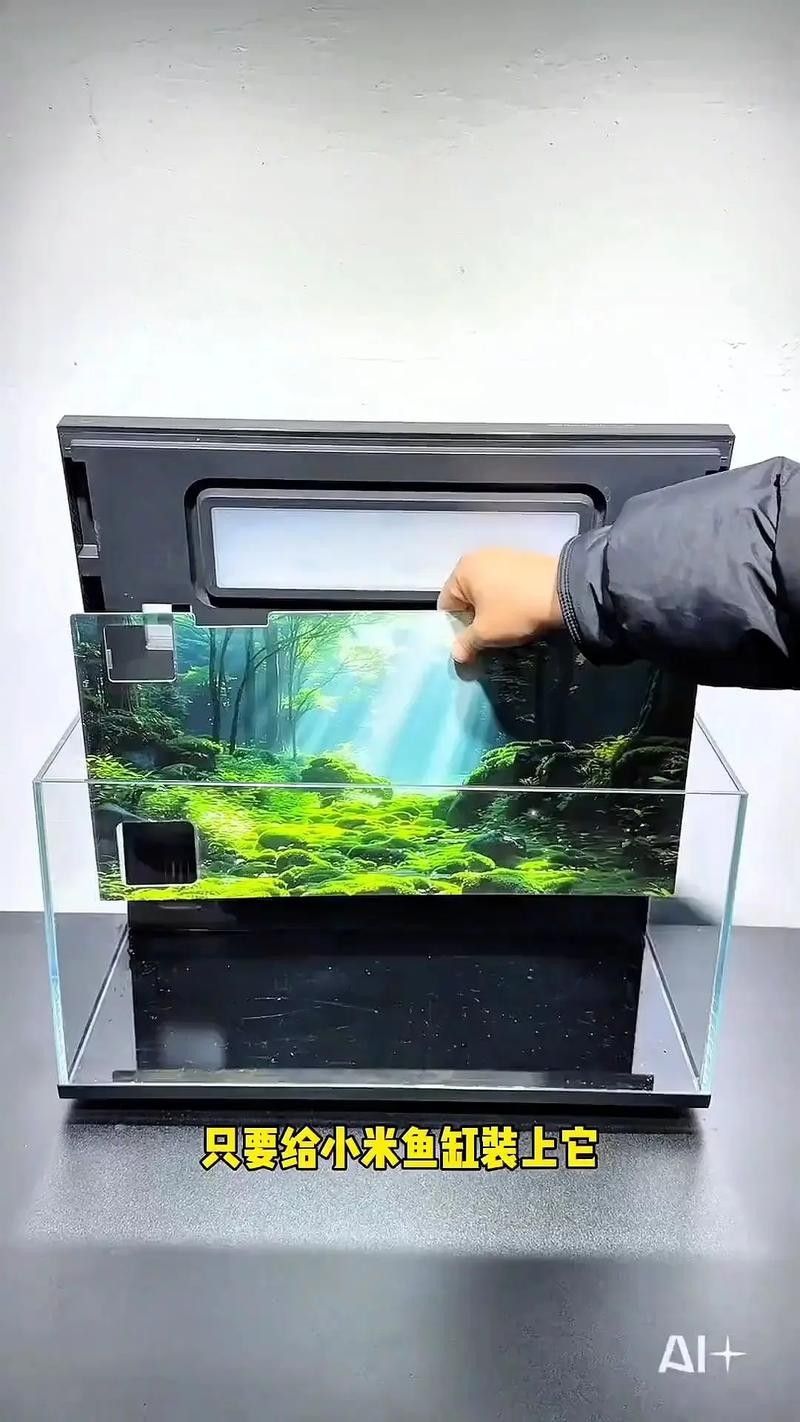 龍魚換魚缸背景