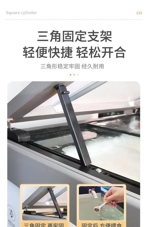 龍魚換魚缸背景