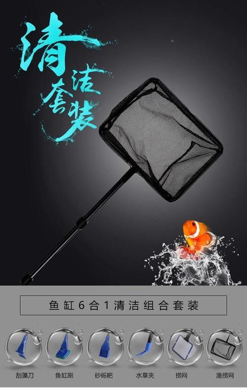 龍魚換魚缸背景