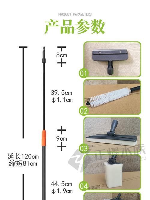 龍魚換魚缸背景