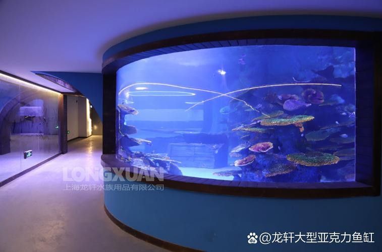 龍魚換魚缸背景
