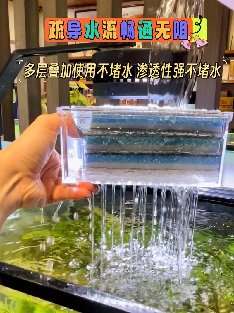 龍魚缸過濾棉多久換一次合適