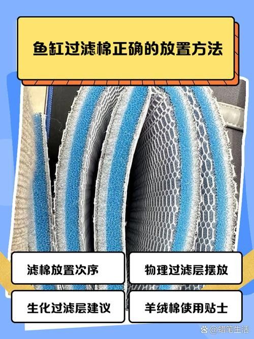 龍魚缸過濾棉多久換一次合適