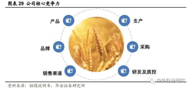 金龍魚發展戰略（金龍魚的發展戰略）
