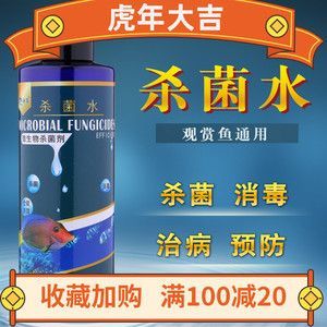 龍魚用什么藥預防疾病：如何正確使用甲硝唑