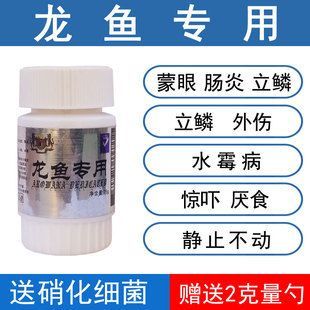 龍魚用什么藥預防疾病：如何正確使用甲硝唑
