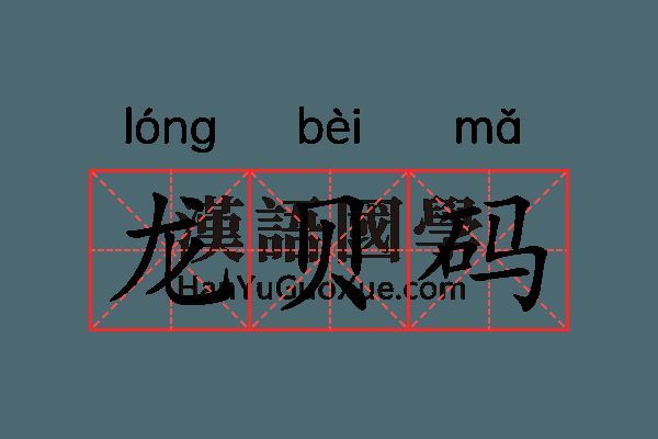龍魚碼查詢：龍魚碼查詢技巧