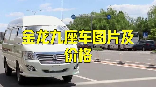 金龍汽車哪個顏色最受歡迎？