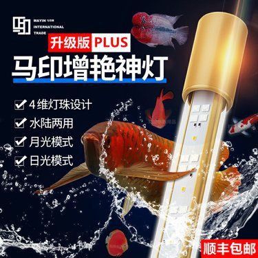 馬印龍魚增艷燈效果 馬印龍魚增艷燈效果 龍魚百科 第5張