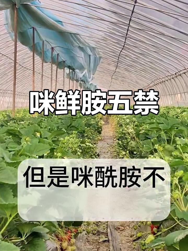 咪鮮胺類(lèi)藥劑使用注意事項(xiàng)