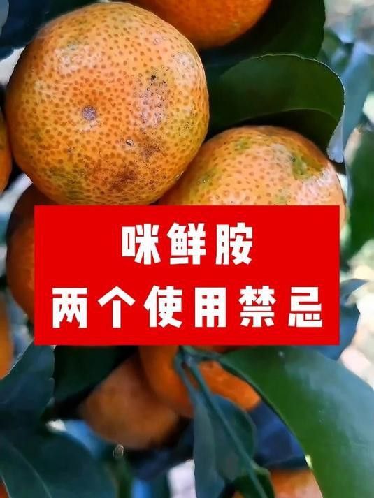 咪鮮胺類(lèi)藥劑使用注意事項(xiàng)