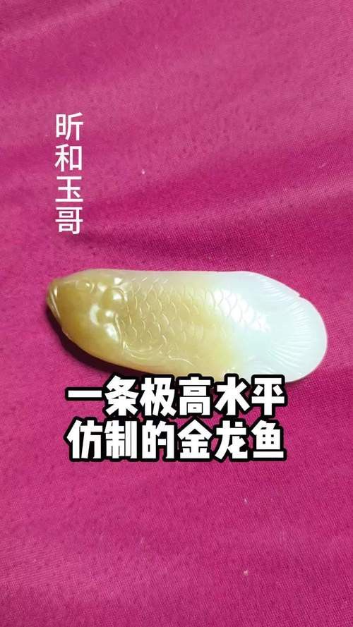 玉金龍魚圖片大全