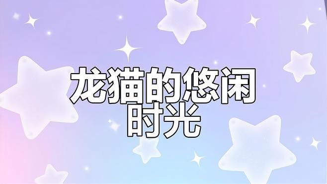 有哪些龍貓和貓的溫馨互動視頻 有哪些龍貓和貓的溫馨互動視頻 龍魚百科 第3張