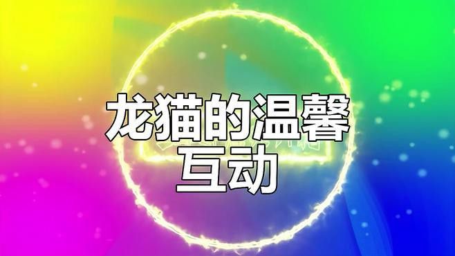 有哪些龍貓和貓的溫馨互動視頻 有哪些龍貓和貓的溫馨互動視頻 龍魚百科 第2張