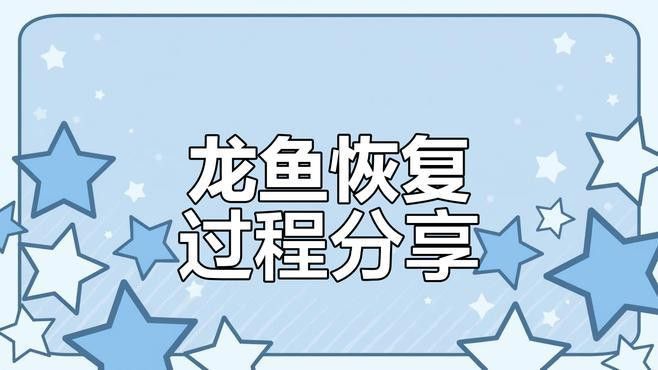 如何訓(xùn)練龍魚(yú)更快認(rèn)主？