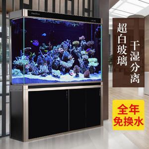 龍魚缸配件，龍魚缸增氧設備選擇指南 龍魚缸配件，龍魚缸增氧設備選擇指南 龍魚百科 第2張