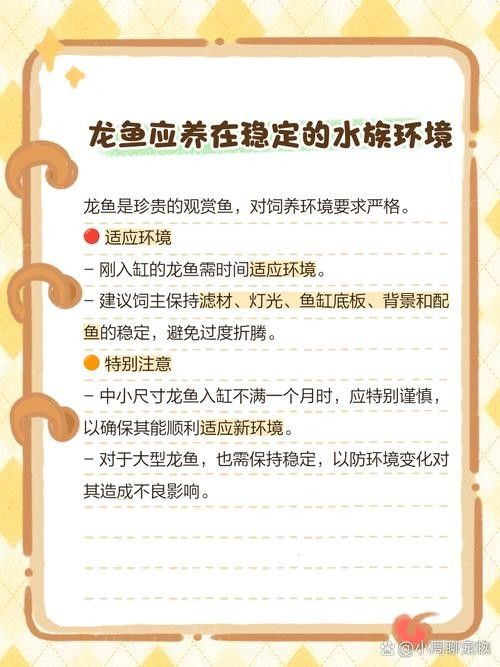 龍魚的飼養方法有哪些圖片