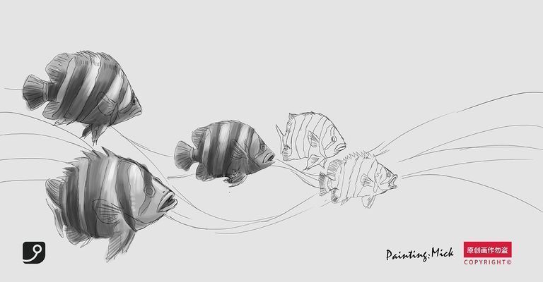 藍底金龍魚用什么燈最好看呢（藍底金龍魚燈光強度控制技巧，如何避免金龍魚掉眼病）