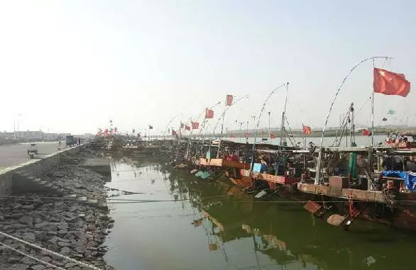 政府如何補貼受海龍魚禁令影響的漁民？