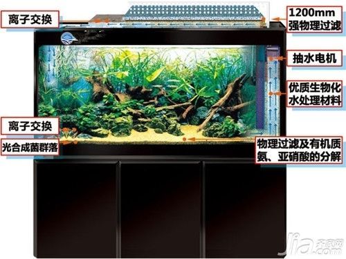水族箱過濾器品牌歷史對比：水族箱過濾器品牌歷史和排名