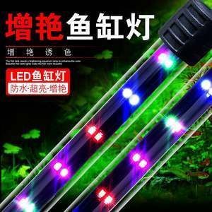 紅龍魚要用什么燈管最好養