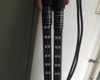 紅龍魚要用什么燈管最好養