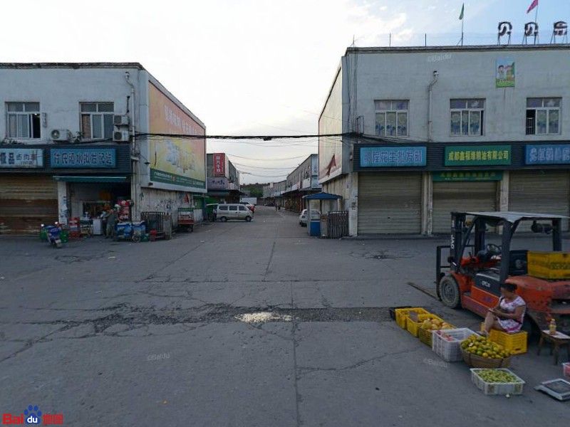 成都龍魚批發市場