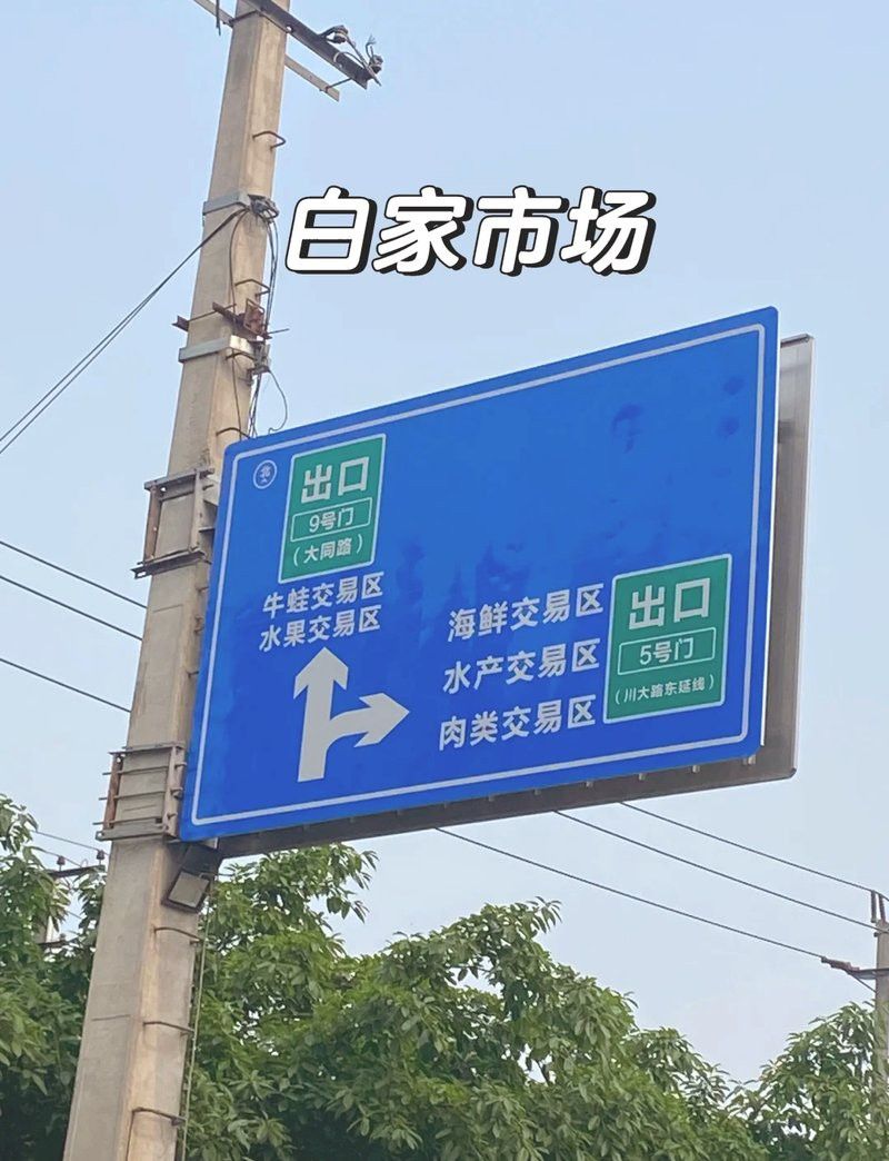 成都龍魚批發市場