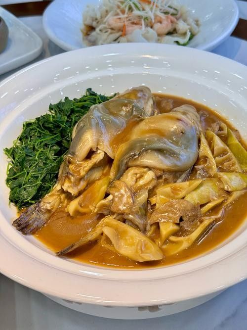 鎮江龍魚專賣店