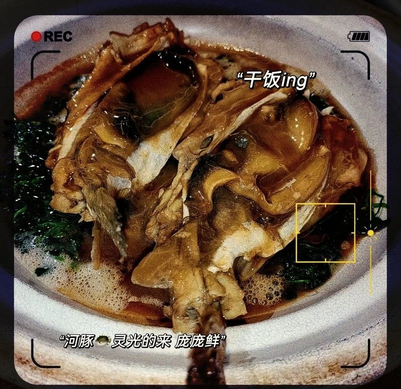 鎮江龍魚專賣店
