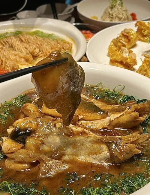 鎮江龍魚專賣店